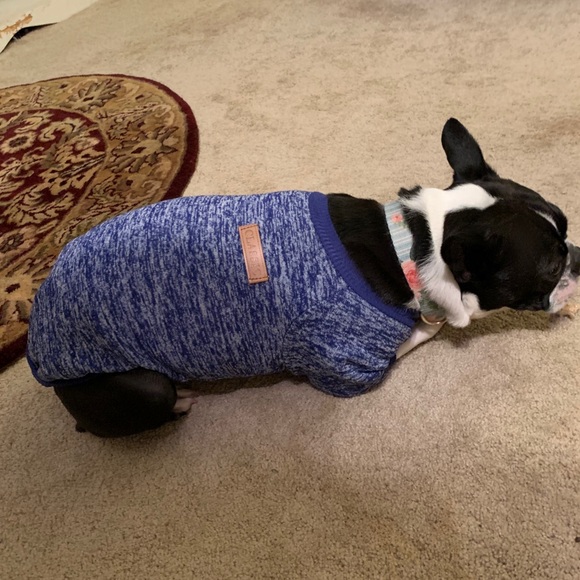 Dog shirt - Picture 2 of 2